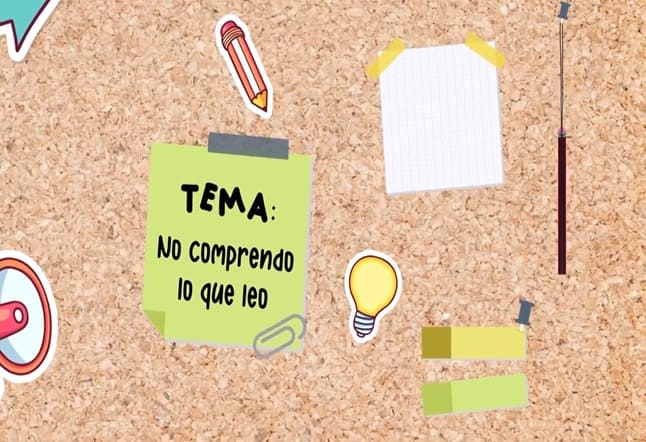 Capítulo N° 10 - No comprendo lo que leo